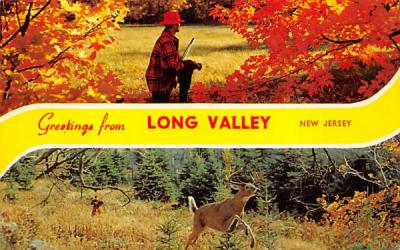 Greetings from Long Valley, New Jersey, USA Postcard