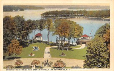 Chestnut Point from New Breslin Hotel Lake Hopatcong, New Jersey Postcard