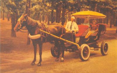 Horse and Buggy, Reproduction Lakewood, New Jersey Postcard