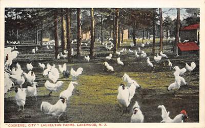 Cockerel City Laurelton Farms Lakewood, New Jersey Postcard