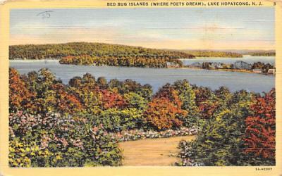 Bed Bug Islands Lake Hopatcong, New Jersey Postcard