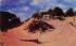Picturesque Sand Dunes Long Beach Island, New Jersey Postcard