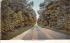 The Road to Allaire & Lakewood, N.J., USA New Jersey Postcard