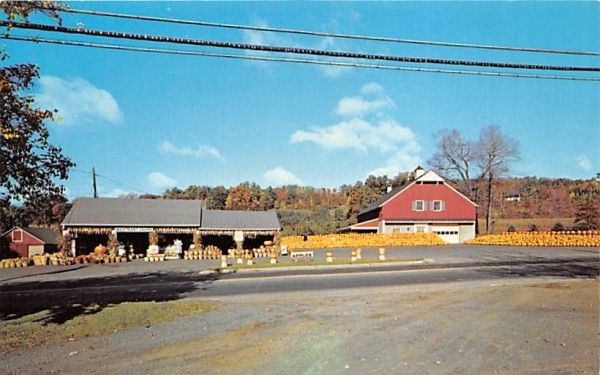 Wightman's Farms Morristown, New Jersey Postcard