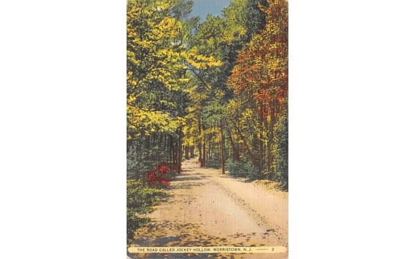 The Road Called Jockey Hollow Morristown, New Jersey Postcard