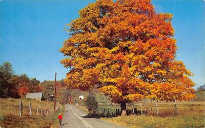 New Jersey-Pennsylvania Autumn afternoon Postcard
