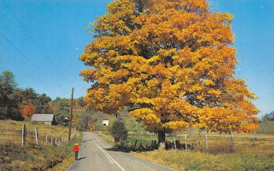 New Jersey-Pennsylvania Autumn afternoon Postcard