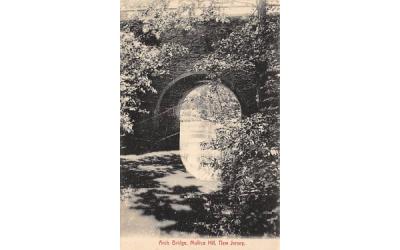 Arch Bridge Mullica Hill, New Jersey Postcard