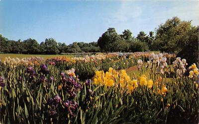 Presby Memorial Iris Gardens Montclair, New Jersey Postcard