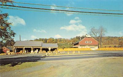 Wightman's Farms Morristown, New Jersey Postcard