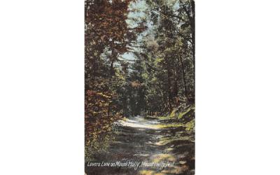 Lovers Lane on Mount Holly Mt Holly, New Jersey Postcard