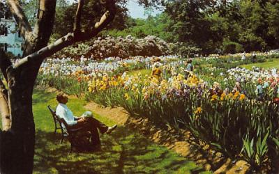 Presby Memorial Iris Gardens Montclair, New Jersey Postcard