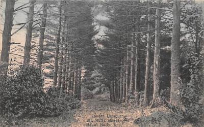 Lover's Lane, Mt Holly mount New Jersey Postcard