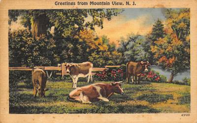 Greetings fro Montain View, N. J., USA Mountain View, New Jersey Postcard