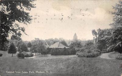 General View James Park Madison, New Jersey Postcard