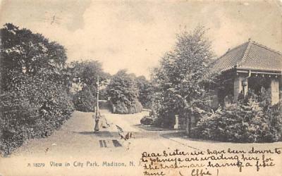 View in City Park Madison, New Jersey Postcard