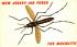 New Jersey Air Force The Mosquito Postcard