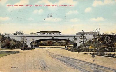 Bloomfield Ave. Bridge, Branch Brook Park Newark, New Jersey Postcard