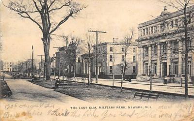 The Last Elm, Military Park Newark, New Jersey Postcard