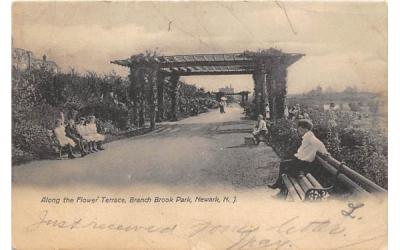 Along the Flower Terrace, Branch Brook Park Newark, New Jersey Postcard