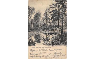 Branch Brook Park, Near Silver Lake Newark, New Jersey Postcard