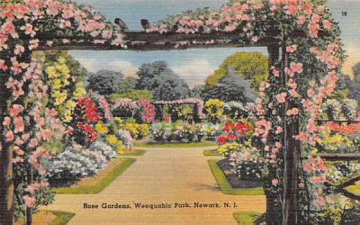 Rose Gardens, Weequahic Park  Newark, New Jersey Postcard