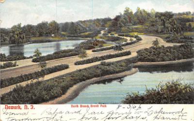 North Branch Brook Park Newark, New Jersey Postcard