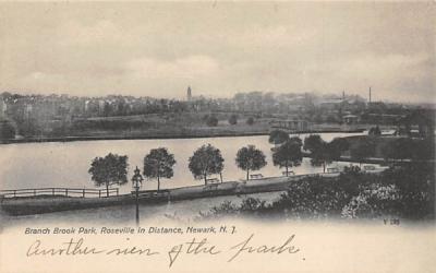 Branch Brook Park, Roseville in Distance Newark, New Jersey Postcard