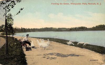 Feeding the Geese, Weequahic Park Newark, New Jersey Postcard