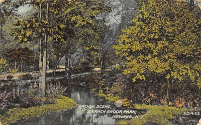 Brook Scene, Branch Brook Park Newark, New Jersey Postcard