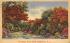 Greetings from New Gretna New Jersey Postcard