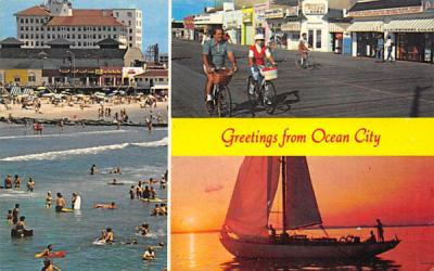 Greetings from Ocean City New Jersey Postcard