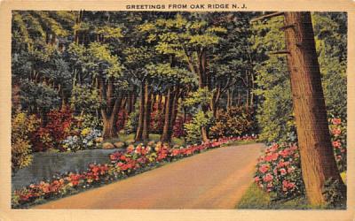 Greetings from Oak Ridge New Jersey Postcard