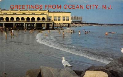 Birdseye View of the surf and Music Pier Ocean City, New Jersey Postcard