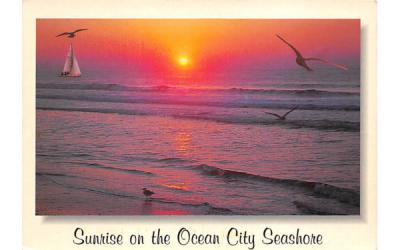 Sunrise on the Ocean City Seashore New Jersey Postcard