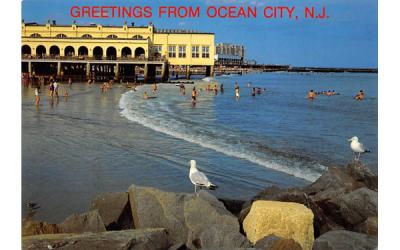 Birdseye View of the surf and Music Pier Ocean City, New Jersey Postcard