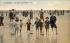 The Kiddies in the Surf Ocean City, New Jersey Postcard