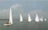 Sailing Regatta on Barnegat Bay Ocean County, New Jersey Postcard