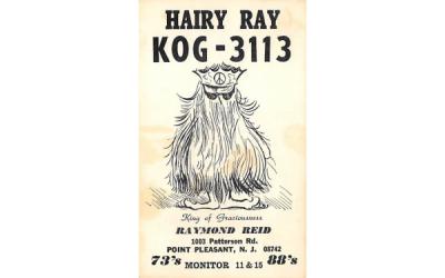 Hairy Ray KOG-3113 Point Pleasant, New Jersey Postcard