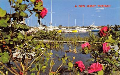 Marina Point Pleasant, New Jersey Postcard