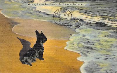 Waiting for my Pals here Point Pleasant Beach, New Jersey Postcard