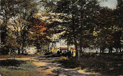 Picnic Grove Pittsgrove, New Jersey Postcard
