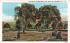 The Circle Flower Beds, East Side Park Paterson, New Jersey Postcard