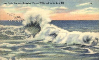 Sea Gulls Dip over Breaking Waves - Wildwood-by-the Sea, New Jersey NJ Postcard
