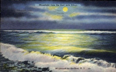 Wildwood-by-the-Sea, New Jersey - Wildwood-by-the Sea Postcard