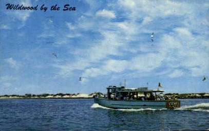 Cold Spring Inlet - Wildwood-by-the Sea, New Jersey NJ Postcard