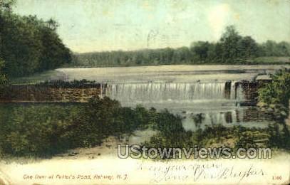 The Dam At Fetters Pond  - Rahway, New Jersey NJ Postcard