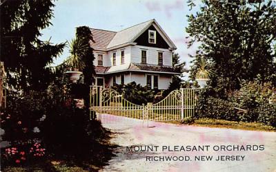 Mount Pleasant Orchards Richwood, New Jersey Postcard