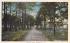 Leibig's Lane Roosevelt, New Jersey Postcard