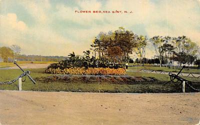 Flower Bed Sea Girt, New Jersey Postcard